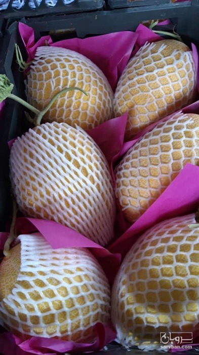 فروش خربزه گرمساری