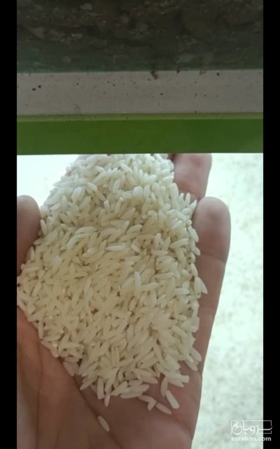 فروش برنج علی کاظمی