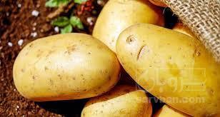 خرید سیب زمینی