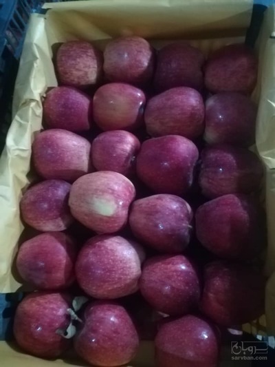 فروش سیب قرمز درجه یک