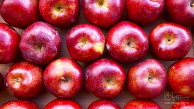 خرید سیب