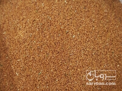 فروش خاکشیر