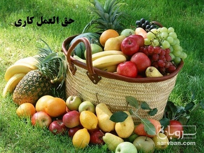 خرید موز