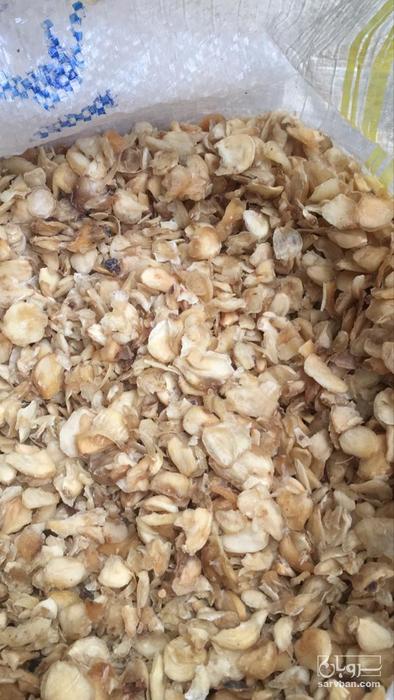 فروش سیرپرک خشک