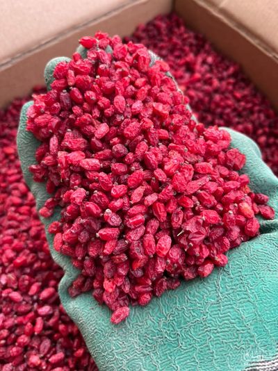 فروش زرشک پفکی درجه 1