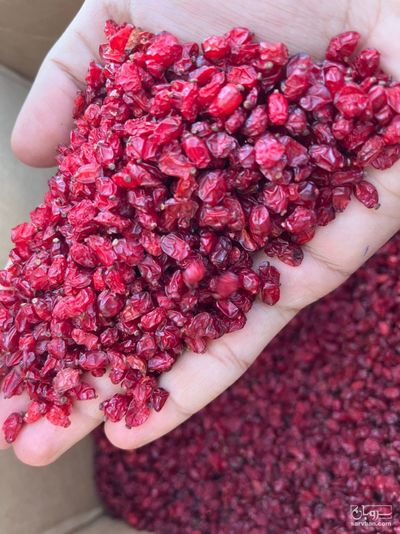 فروش زرشک پفکی