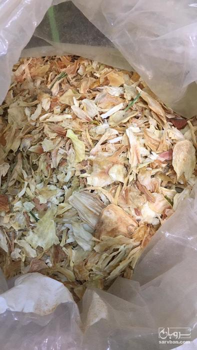 فروش پیاز خشک