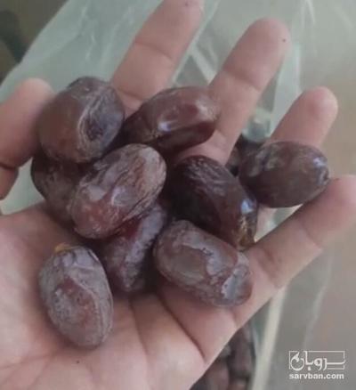 فروش خرما کلوته