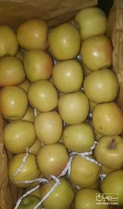 فروش سیب زرد