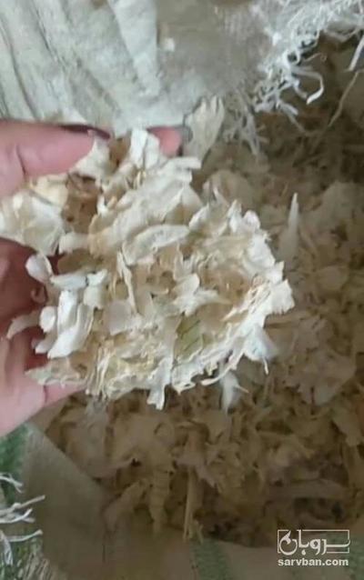 فروش پیاز خشک