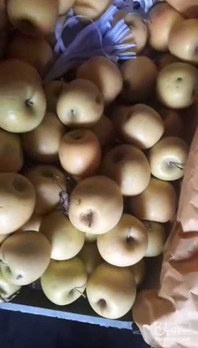 فروش سیب