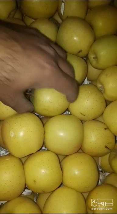 فروش سیب سفید ممتاز