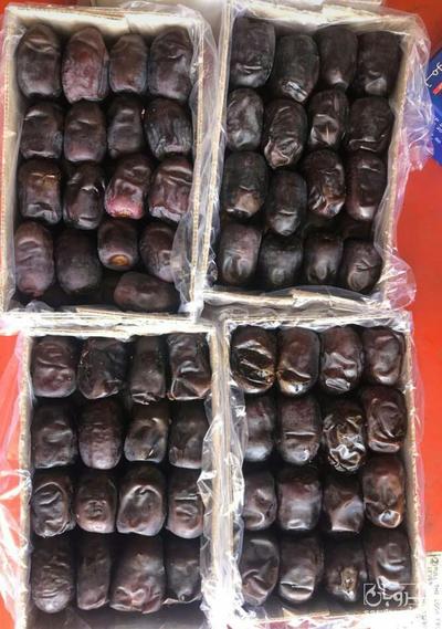 فروش خرما مضافتی