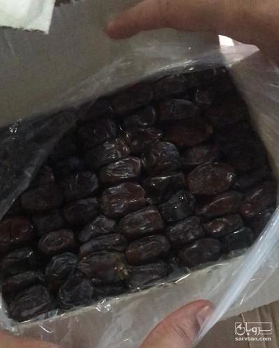 فروش خرماي كلوته