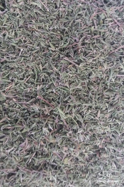 فروش برگ آویشن