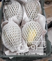 فروش جانا تک رج صادراتی