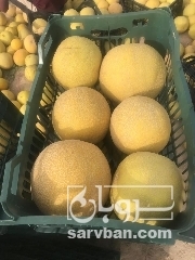 فروش ملون کازرون درحه یک با بسته بندی