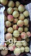 فروش زردآلو