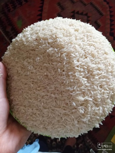 فروش برنج طارمی