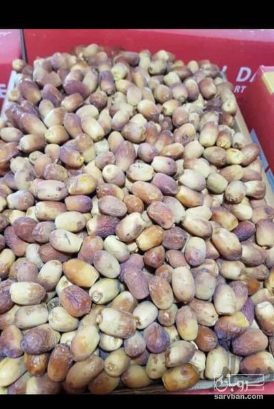 فروش خرما