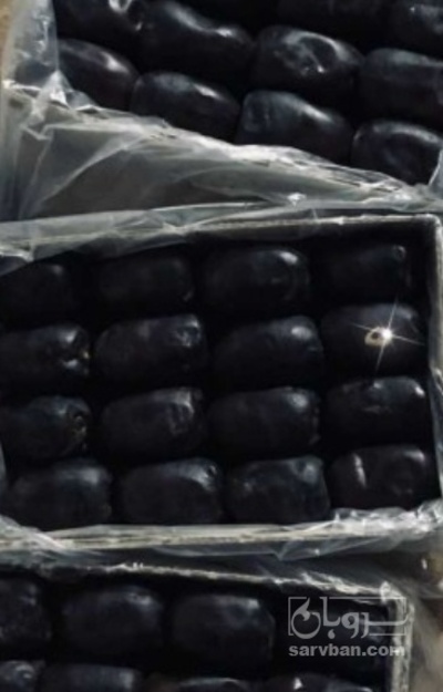 فروش خرما مضافتی