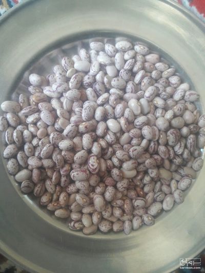 فروش لوبیا چیتی بوجاری شده