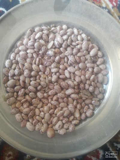 فروش لوبیا چیتی