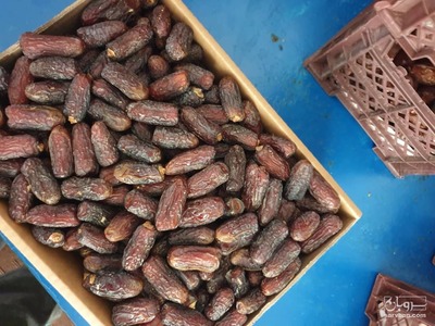 فروش خرما پیارم ویژه