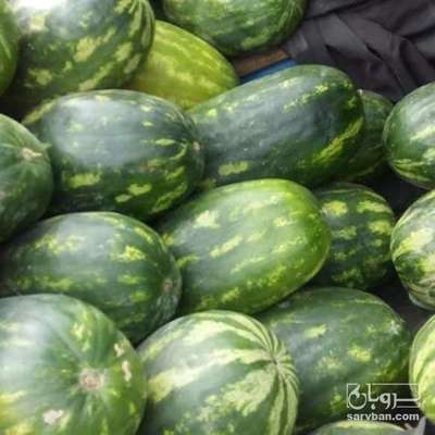 خرید هندوانه