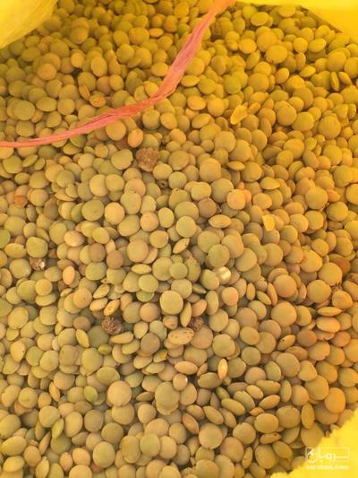 فروش عدس
