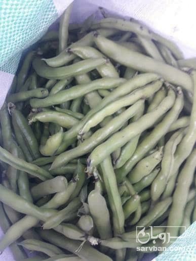 فروش باقلا سبز گنبد