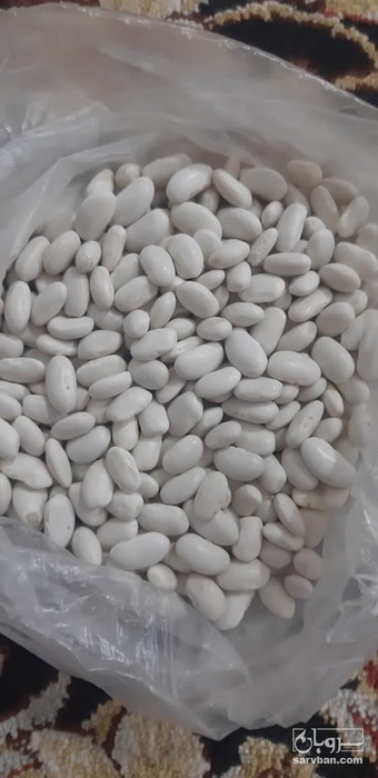 فروش لوبیا سفید