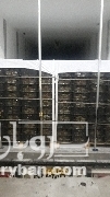 فروش انگور 6