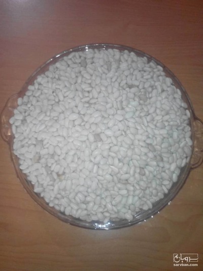 فروش لوبیا سفید