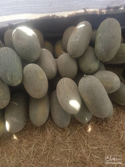 فروش ملون گرین پلاس