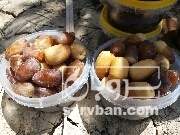  فروش خرما-رطب