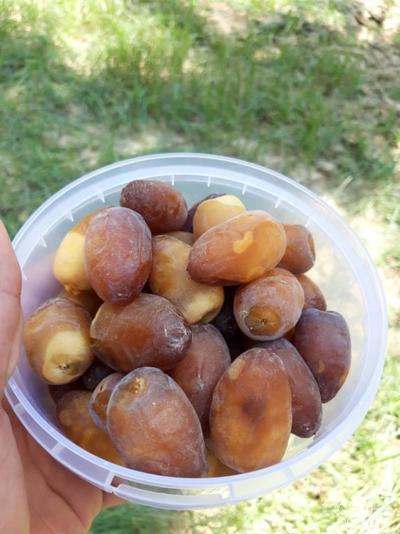 فروش رطب کبکاب