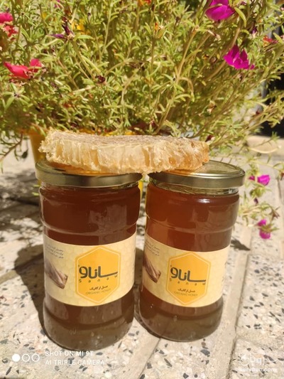 فروش عسل ارگانیک وحشی