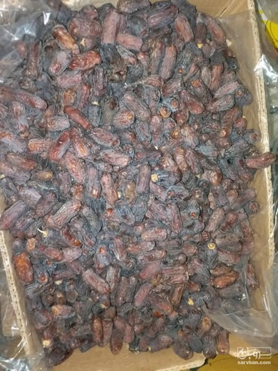 فروش خرما