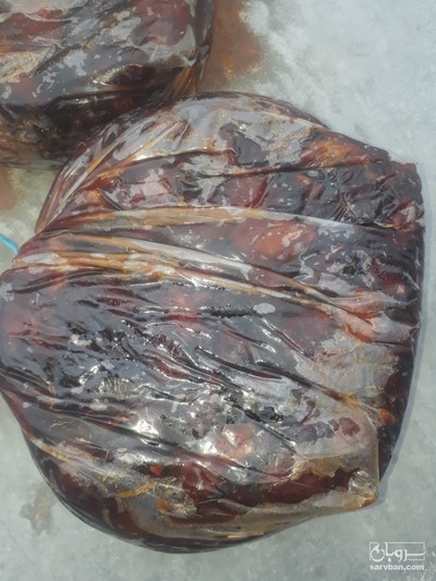 فروش خرما خاصویی