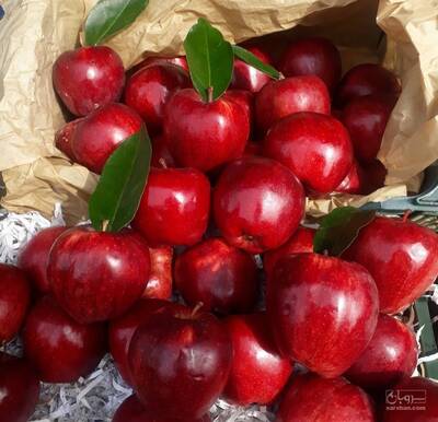 حق العمل کاری یوسف داداشی