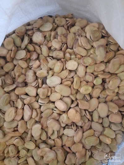 فروش باقلا خشک