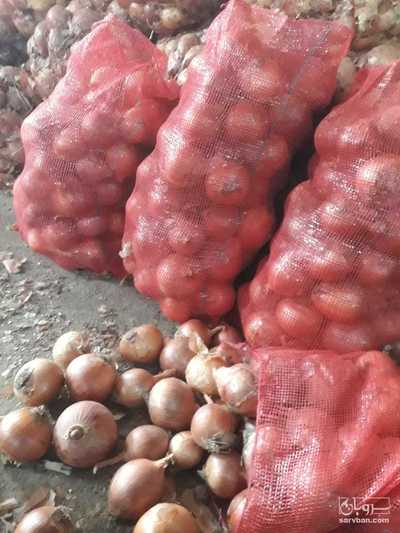 فروش پیاز زرد