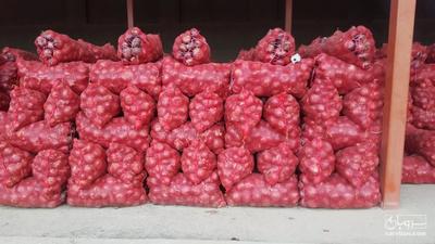 فروش پیاز قرمزبناب