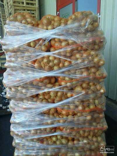 فروش پیاز زرد