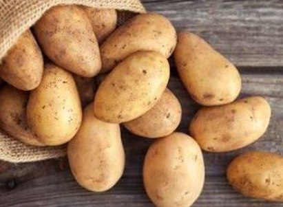 فروش سیب زمینی