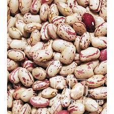 فروش لوبیا چیتی