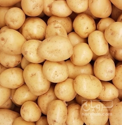 فروش سیب زمینی