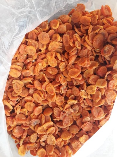 فروش برگه قیسی