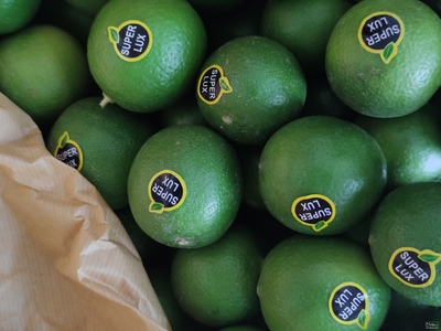 فروش لیمو شیرین